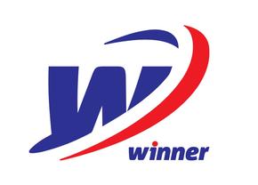 Cum sa câștigi peste 1 milion de lei cu o investiție minimă? Un NOROCOS a dat lovitura la Winner Casino!