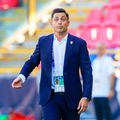 Mirel Rădoi, selecționer România