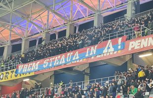 Ultrașii Stelei au venit la România - Grecia cu un mesaj clar pentru FRF