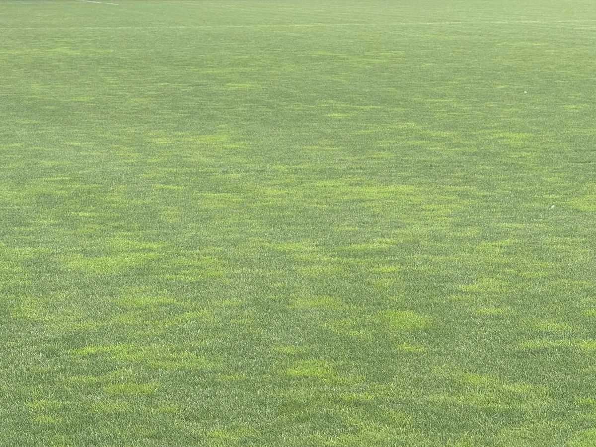 România U21 pierde în ultimul test dinaintea Campionatului European » Olandezii, mai buni în repriza a doua