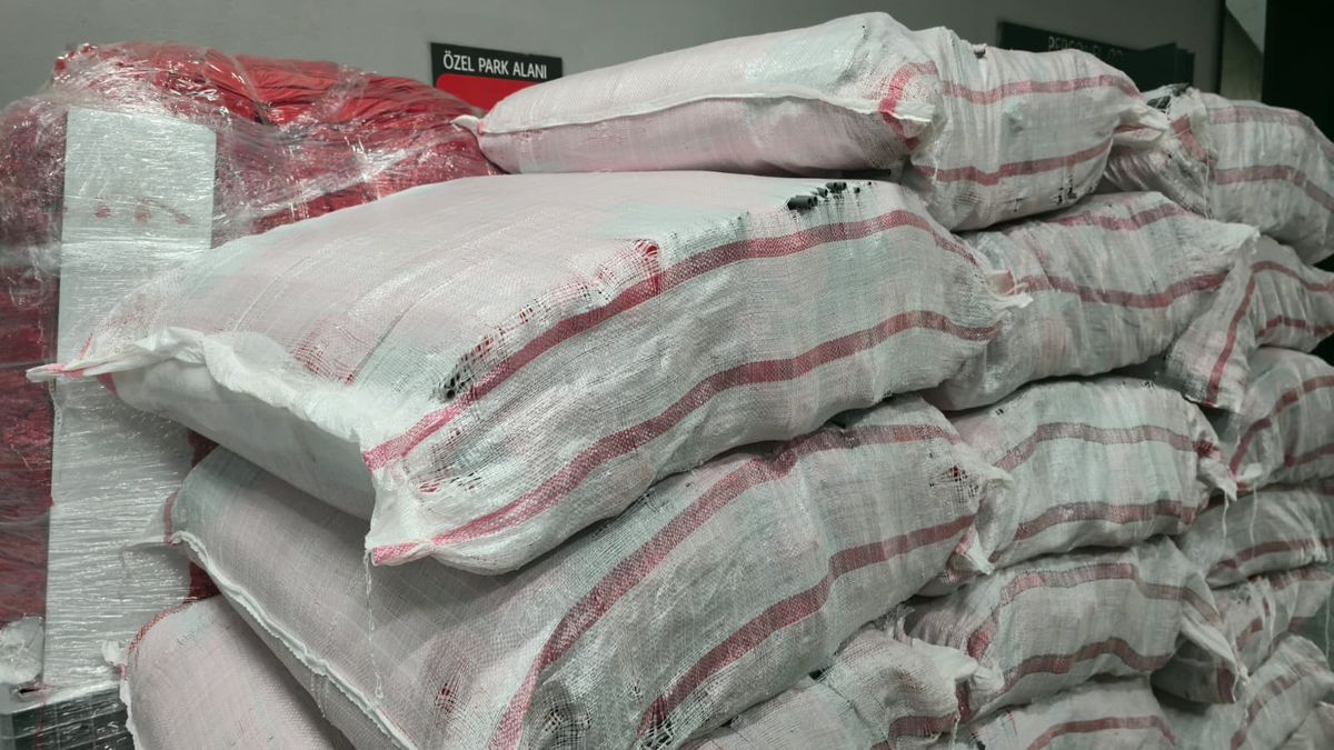 Steaguri la Turcia Romania