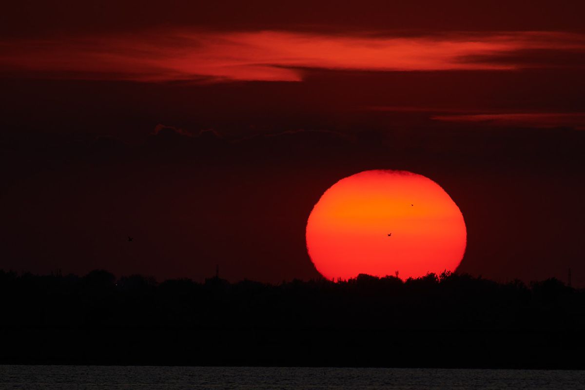 COVID-19. Număr record de teste în ultimele 24 de ore în România