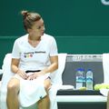 Darren Cahill a povestit un episod neștiut petrecut alături de Simona Halep