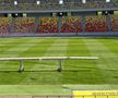 Arena Națională - gazon - 25.04-2021