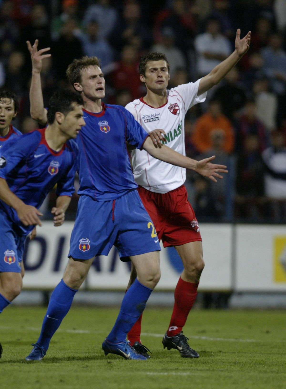 Gabriel Tamaș - evergreen