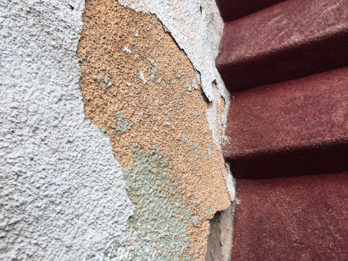 Imagini scandaloase! Zona Crepusculară la Arenele BNR, în centrul Bucureștiului » Jandarmii blochează accesul pentru un motiv incredibil: „Sunt «consensele» noastre”