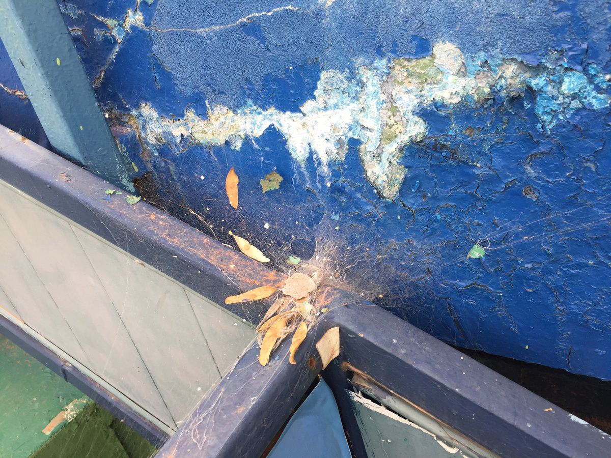 Arenele BNR - arhiva