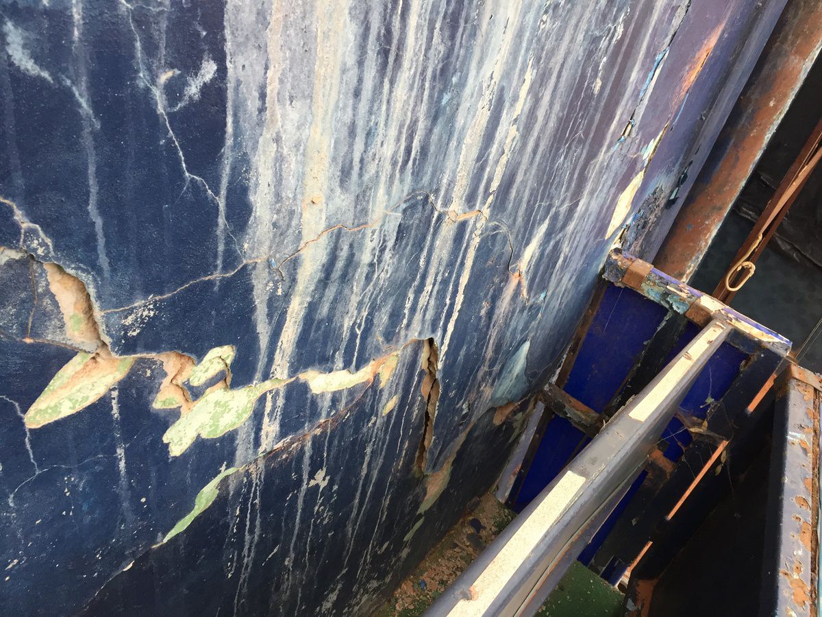 Imagini scandaloase! Zona Crepusculară la Arenele BNR, în centrul Bucureștiului » Jandarmii blochează accesul pentru un motiv incredibil: „Sunt «consensele» noastre”