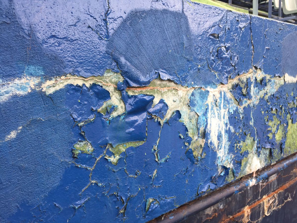 Imagini scandaloase! Zona Crepusculară la Arenele BNR, în centrul Bucureștiului » Jandarmii blochează accesul pentru un motiv incredibil: „Sunt «consensele» noastre”