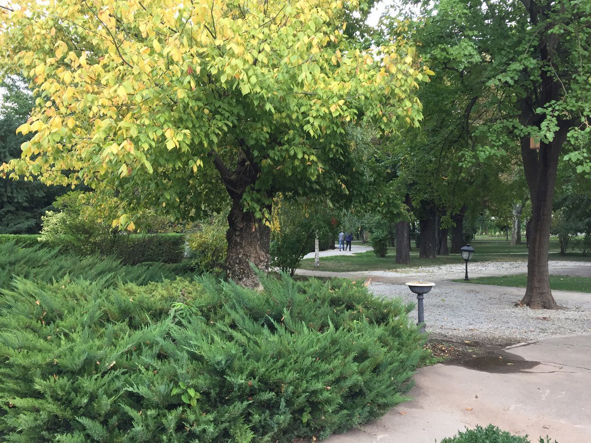 Imagini scandaloase! Zona Crepusculară la Arenele BNR, în centrul Bucureștiului » Jandarmii blochează accesul pentru un motiv incredibil: „Sunt «consensele» noastre”