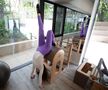 Diana Văduva în sala de Pilates FOTO: Ionuț Iordache (GSP)
