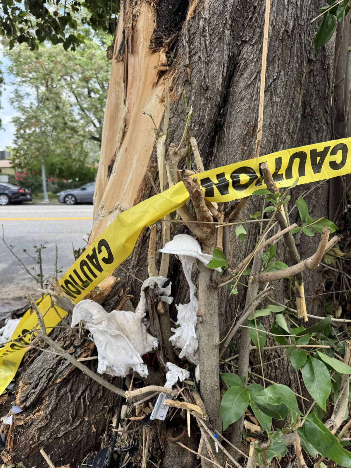 Veste tragică din America: fiul fostului baschetbalist din NBA, în comă indusă după un accident teribil