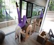 Diana Văduva în sala de Pilates FOTO: Ionuț Iordache (GSP)