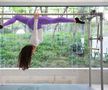 Diana Văduva în sala de Pilates FOTO: Ionuț Iordache (GSP)