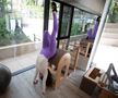 Diana Văduva în sala de Pilates FOTO: Ionuț Iordache (GSP)