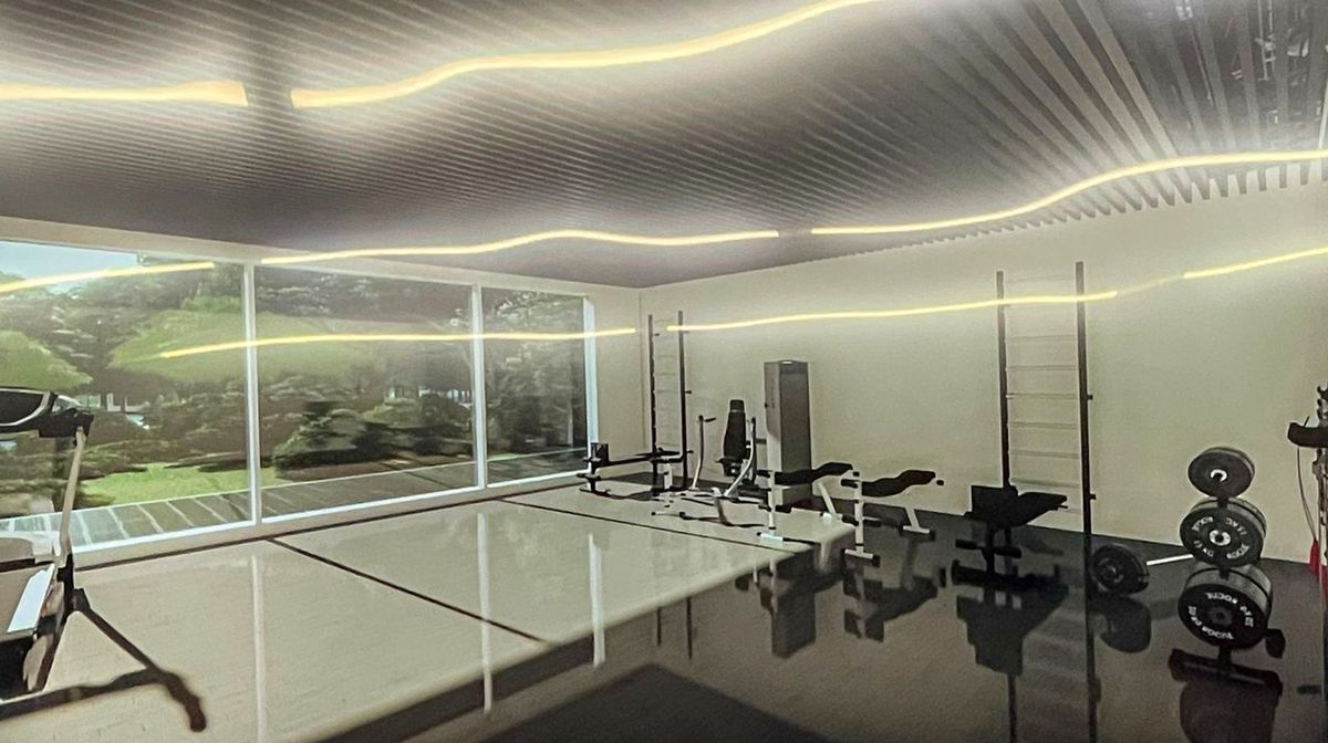 Dan Șucu a fost prezentat la Rapid: „Vom avea un buget de 7 milioane de euro. La anul vom avea 10, peste 2 ani vor fi 14”