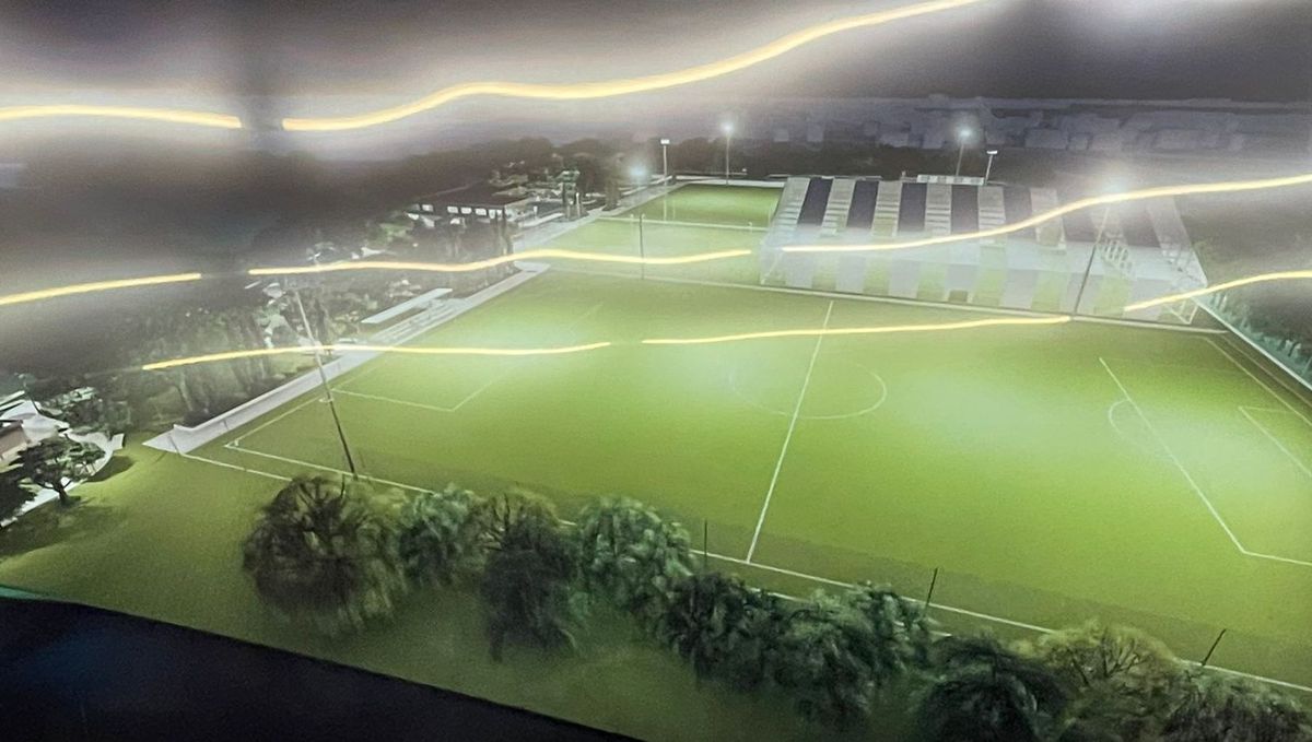 Dan Șucu a fost prezentat la Rapid: „Vom avea un buget de 7 milioane de euro. La anul vom avea 10, peste 2 ani vor fi 14”