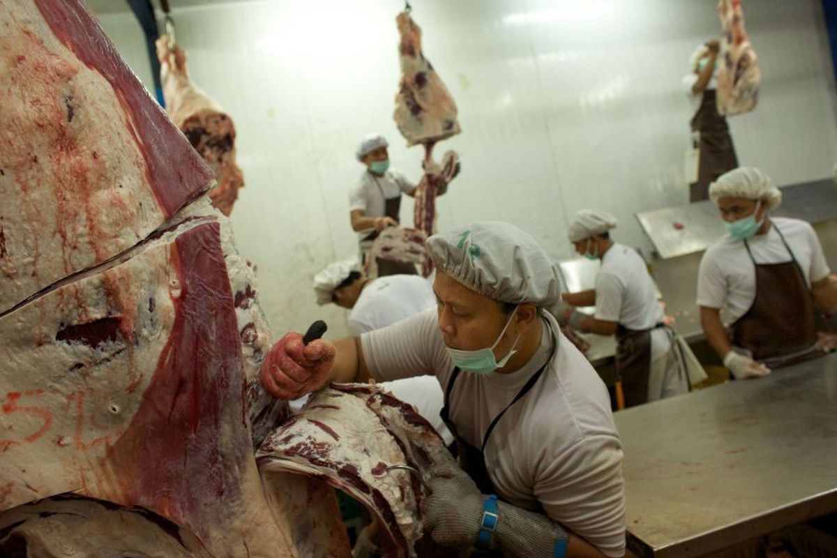 De ce devin abatoarele focare de COVID?! O explicație stranie: de ce contează zgomotul