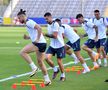 „Tricolorii” au efectuat antrenamentul oficial de dinaintea meciului cu Slovacia / FOTO: Cristi Preda (Gazeta Sporturilor)