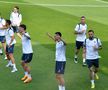 „Tricolorii” au efectuat antrenamentul oficial de dinaintea meciului cu Slovacia / FOTO: Cristi Preda (Gazeta Sporturilor)