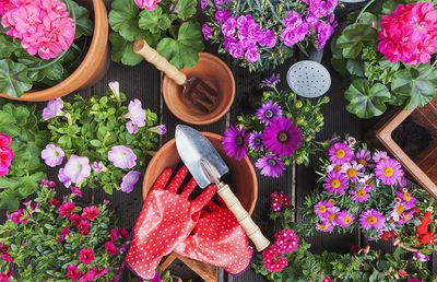 Cele mai importante criterii pentru alegerea unei betoniere