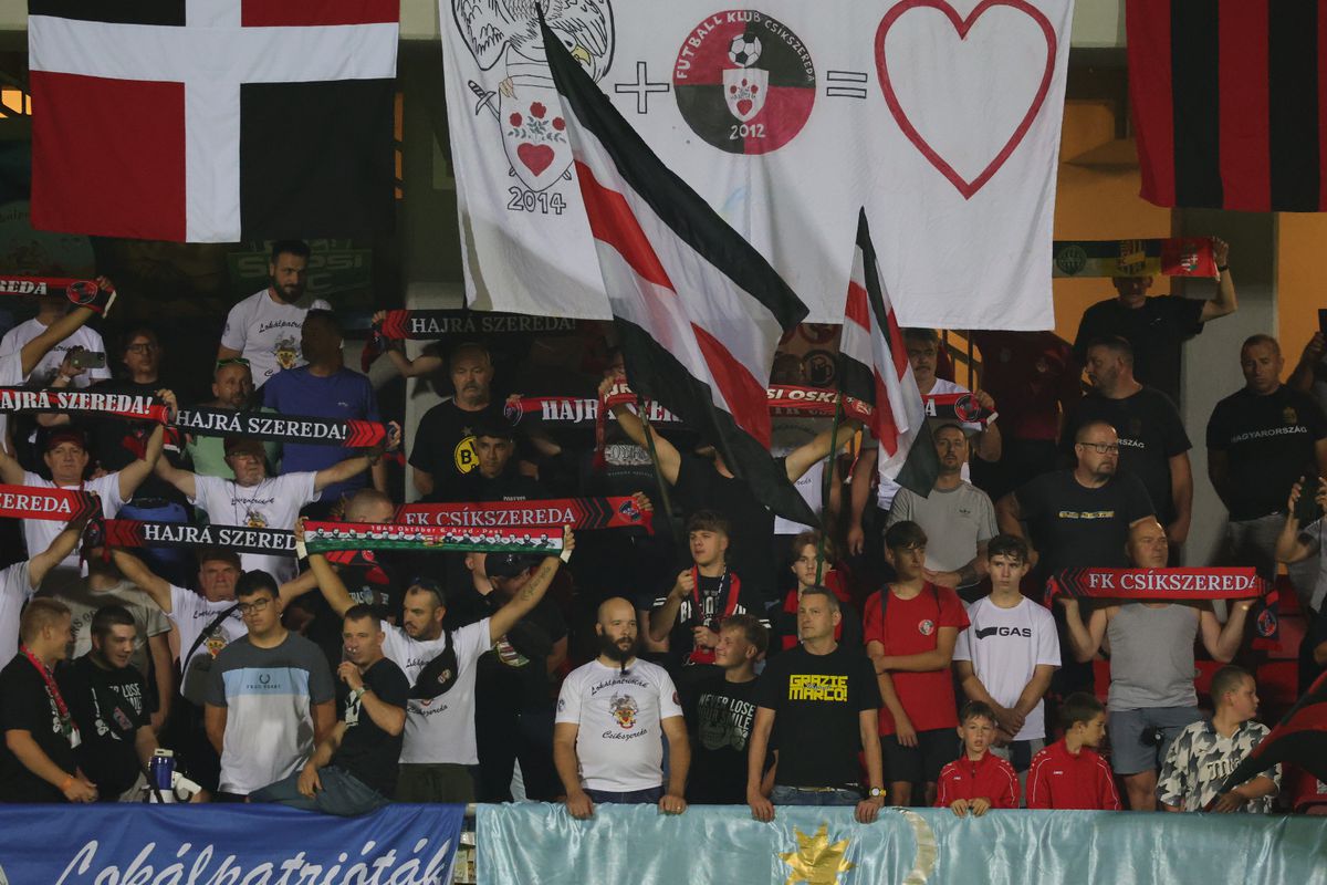 Au încălcat legea la Csikszereda - Rapid! Jandarmii au intervenit de urgență în tribune