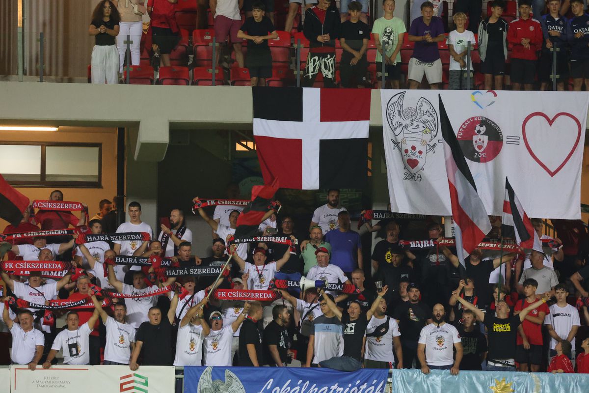 După scandalul imens cu suporterii lui Dinamo, la vizita rapidiștilor la Miercurea Ciuc lucrurile au stat radical altfel » Cu cine s-au „războit” giuleștenii