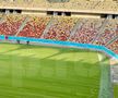 EXCLUSIV. Așa arată noul gazon montat pe Arena Națională. Foto: Andrei Crăițoiu (GSP.RO)
