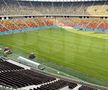 EXCLUSIV. Așa arată noul gazon montat pe Arena Națională. Foto: Andrei Crăițoiu (GSP.RO)