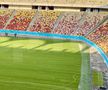EXCLUSIV. Așa arată noul gazon montat pe Arena Națională. Foto: Andrei Crăițoiu (GSP.RO)