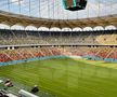 EXCLUSIV. Așa arată noul gazon montat pe Arena Națională. Foto: Andrei Crăițoiu (GSP.RO)