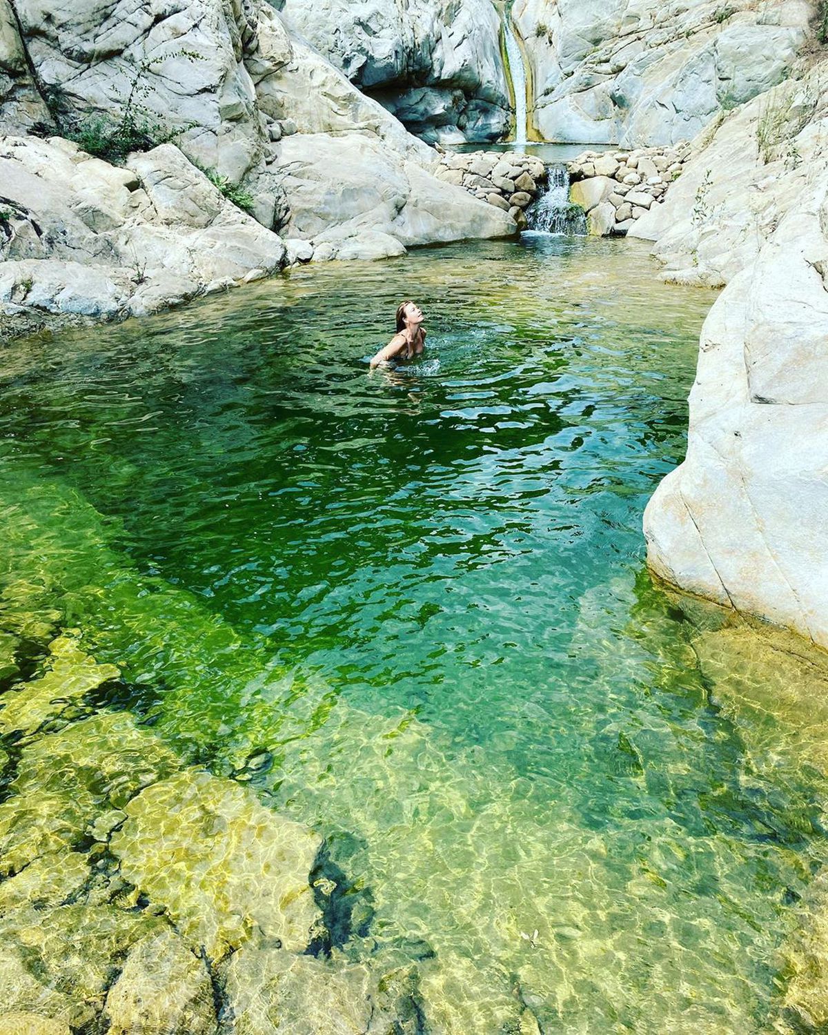 „L-a luat pe tatăl Mariei Sharapova de gât și l-a aruncat în coșul de gunoi! De atunci nu m-a salutat” » Adevăratul motiv al unei rivalități celebre din tenisul feminin