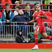 Liverpool - Brentford, foto: Getty Images