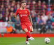 Liverpool - Brentford, foto: Imago Images