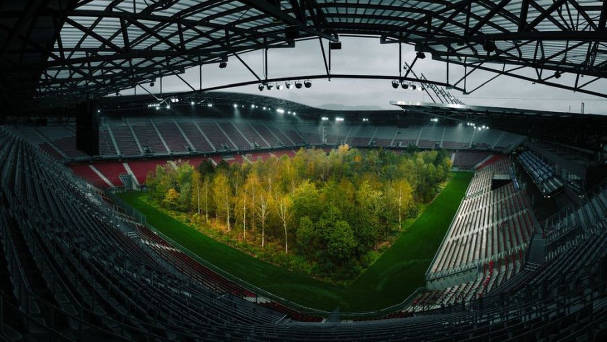 FOTO Imagini incredibile cu un stadion de la Euro 2008! O pădure a ocupat terenul de joc
