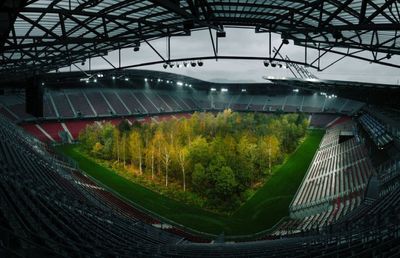 FOTO Imagini incredibile cu un stadion de la Euro 2008! O pădure a ocupat terenul de joc