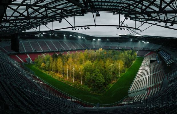 FOTO Imagini incredibile cu un stadion de la Euro 2008! O pădure a ocupat terenul de joc