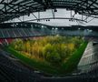 FOTO Imagini incredibile cu un stadion de la Euro 2008! O pădure a ocupat terenul de joc