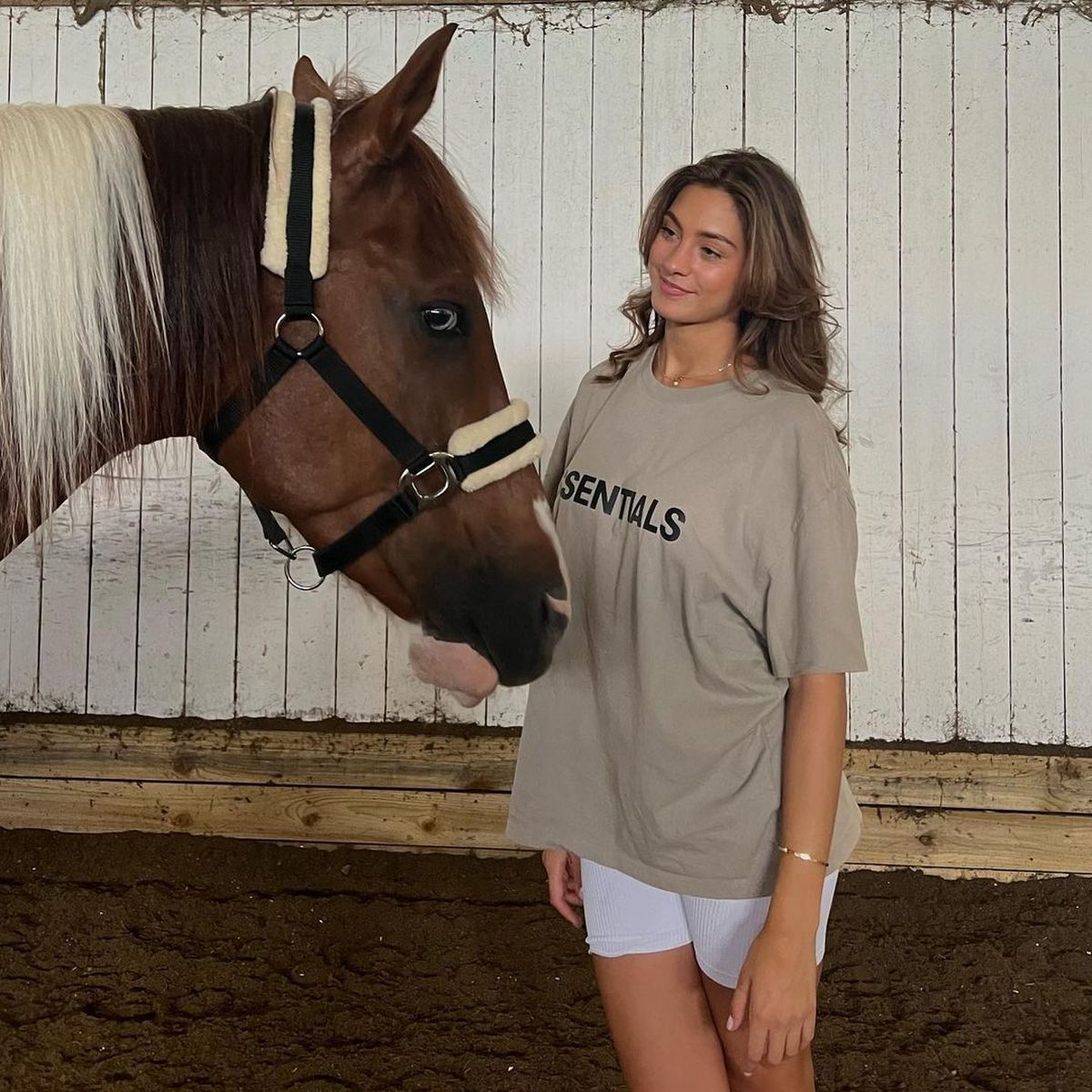 Partenere jucători Germania