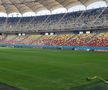 Cum se prezintă gazonul de pe Arena Națională înainte de FCSB - RFS / Foto: Marius Mărgărit