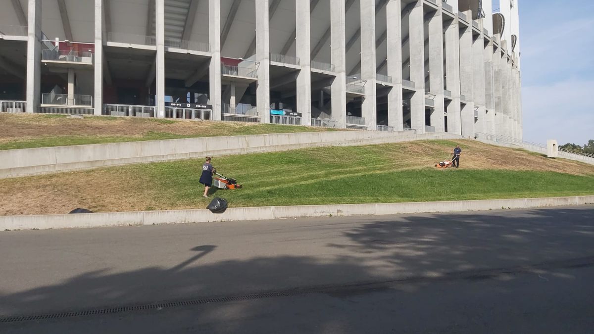 Cum se prezintă gazonul de pe Arena Națională înainte de FCSB - RFS