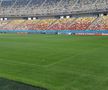 Cum se prezintă gazonul de pe Arena Națională înainte de FCSB - RFS / Foto: Marius Mărgărit