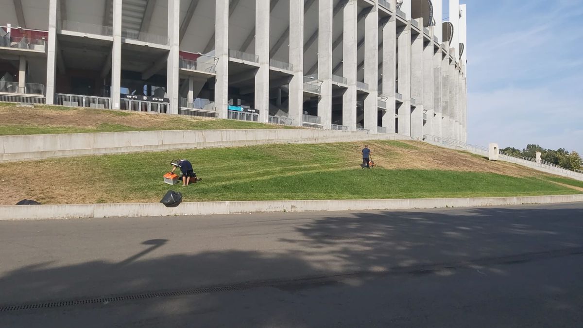 Cum se prezintă gazonul de pe Arena Națională înainte de FCSB - RFS