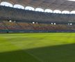 Cum se prezintă gazonul de pe Arena Națională înainte de FCSB - RFS / Foto: Marius Mărgărit