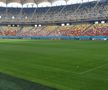 Cum se prezintă gazonul de pe Arena Națională înainte de FCSB - RFS / Foto: Marius Mărgărit