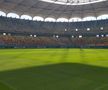 Cum se prezintă gazonul de pe Arena Națională înainte de FCSB - RFS / Foto: Marius Mărgărit