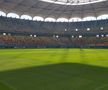 Cum se prezintă gazonul de pe Arena Națională înainte de FCSB - RFS / Foto: Marius Mărgărit