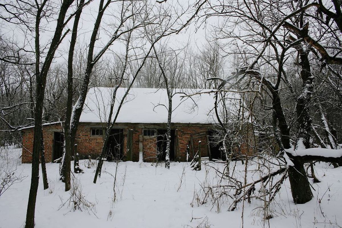 Maria Sharapova, mărturie în premieră despre dezastrul de la Cernobâl: „Am rude afectate, bunica mea stă într-o zonă puternic afectată”