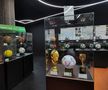 Anghel Iordănescu, năpădit de emoții la inaugurarea Muzeului Fotbalului: „Mă bucură contribuția lui Gică Popescu și că mi-am revăzut prietenii”