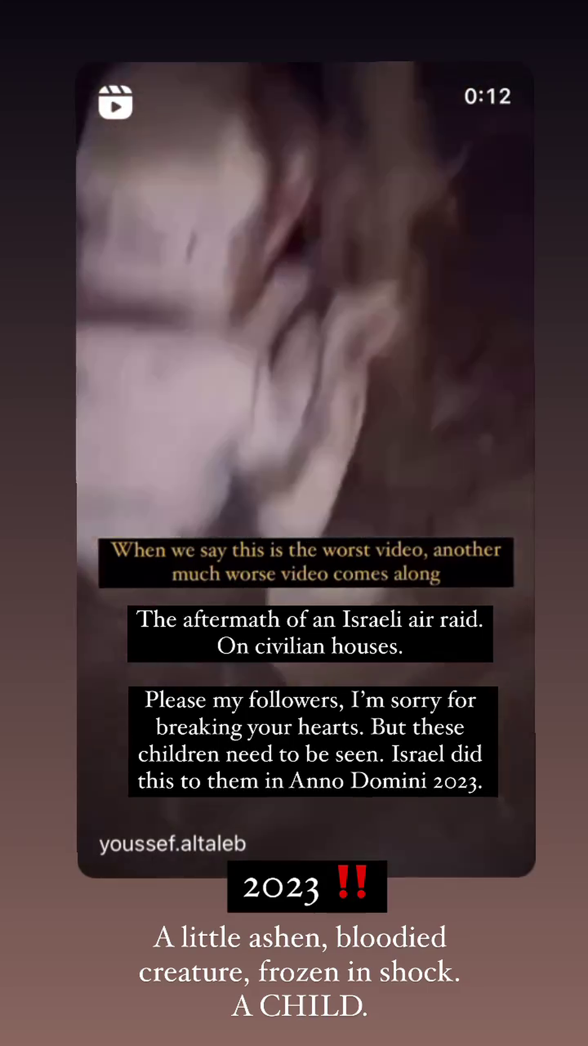 FOTO Raluca Zenga, mesaje de susținere pentru Palestina